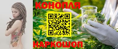 spice Кинель