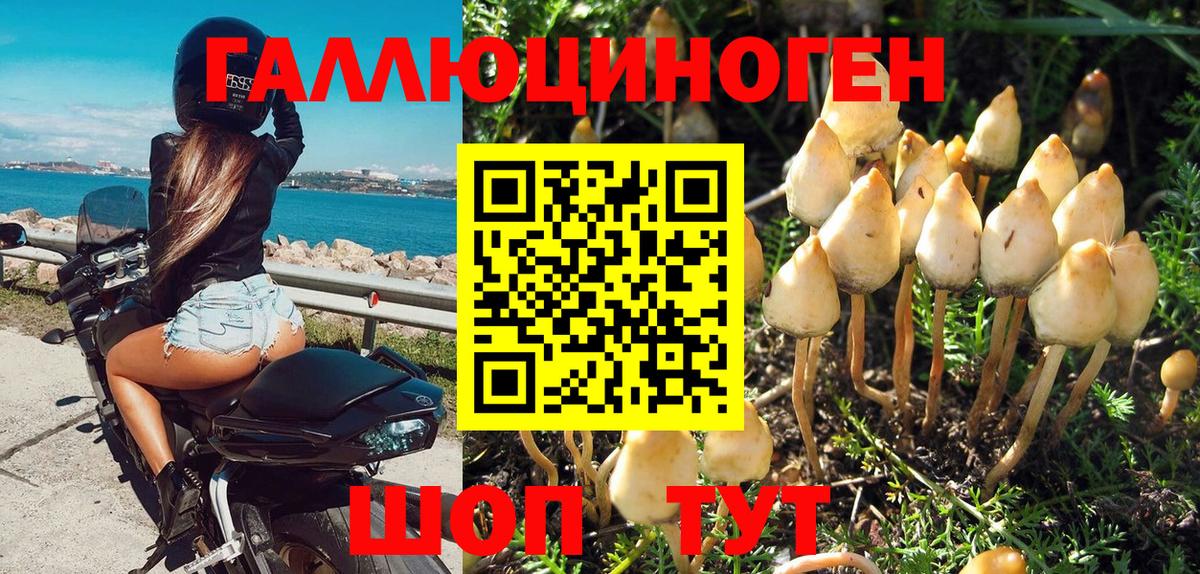 Галлюциногенные грибы Magic Shrooms Карасук