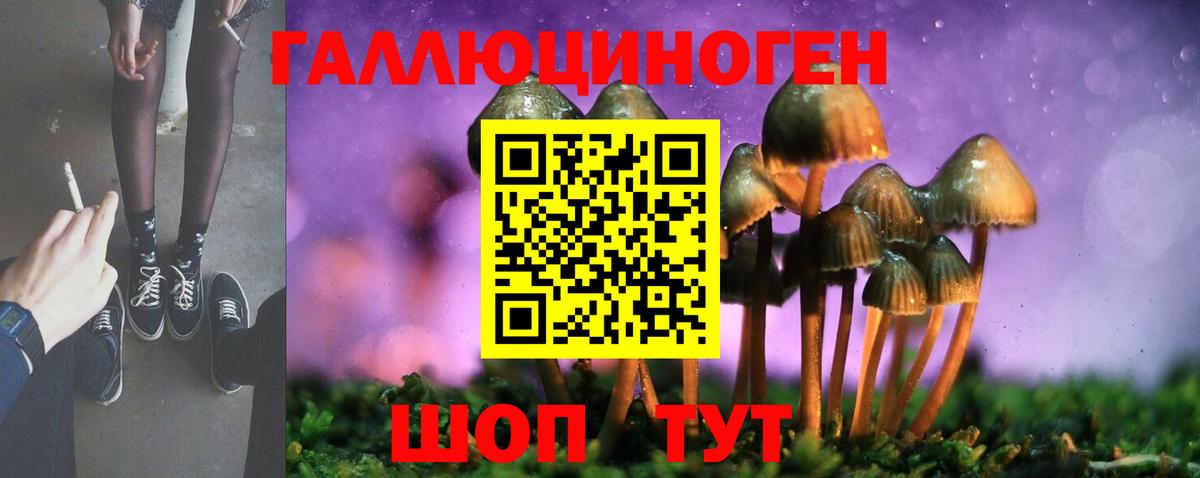 Карасук  Галлюциногенные грибы Cubensis  Галлюциногенные грибы Magic Shrooms  Вход с VPN 